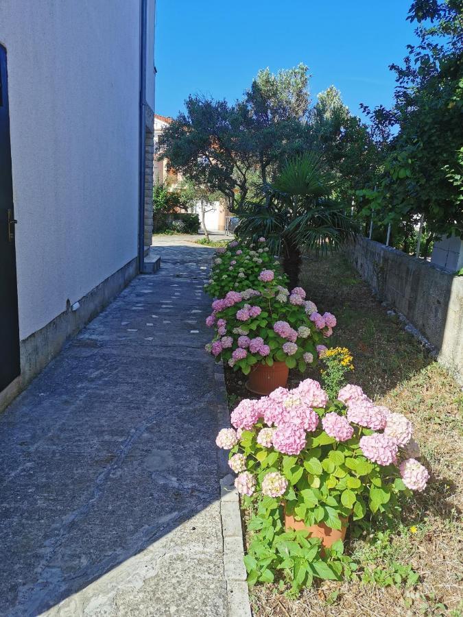 רוגוזניצה Bugenvila מראה חיצוני תמונה